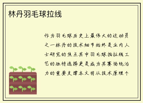 林丹羽毛球拉线