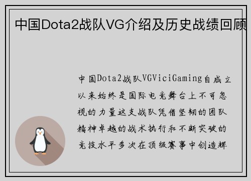 中国Dota2战队VG介绍及历史战绩回顾