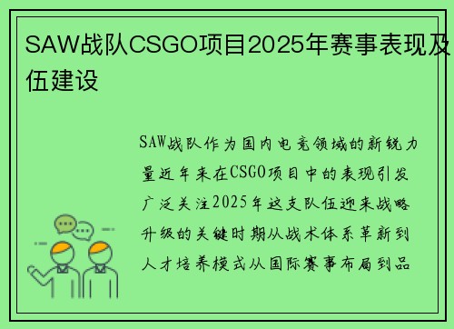 SAW战队CSGO项目2025年赛事表现及队伍建设